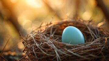 ai generado un petirrojo huevo acostado en un nido, simbolizando nuevo principios y primavera foto