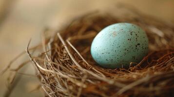 AI generated a robin's egg lying in a nest, symbolizing new beginnings and spring photo