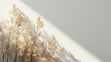 AI generated Minimalist backdrops adorned with delicate dried plants, exuding natural beauty and sophistication photo