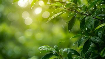 AI generated Raindrops glistening on fresh green leaves in a tranquil garden photo