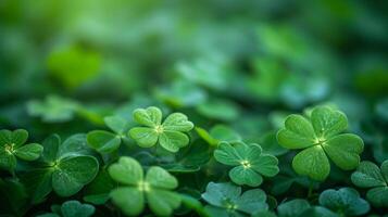 AI generated Minimalist setting featuring understated shamrock patterns photo