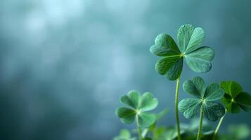 AI generated Minimalist setting featuring understated shamrock patterns photo