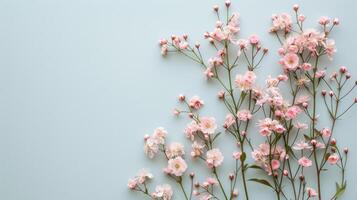 AI generated Minimalistic photo featuring delicate flowers and soft colors to celebrate International Women's Day