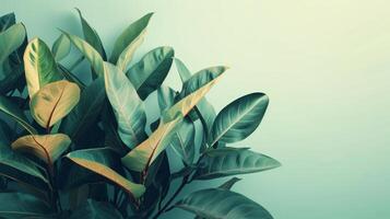 AI generated Minimalist composition featuring abstract tropical foliage, conveying a sense of peace and tranquility photo