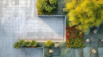 AI generated Minimalist photograph highlighting the geometric shapes and modern lines of a landscaped garden photo