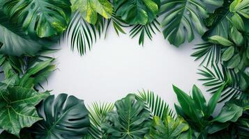 AI generated Clean and sophisticated backdrop adorned with verdant tropical leaves, symbolizing vitality and freshness photo