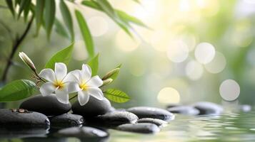 AI generated Zen-like atmosphere created by minimalist floral elements, promoting relaxation and inner harmony photo