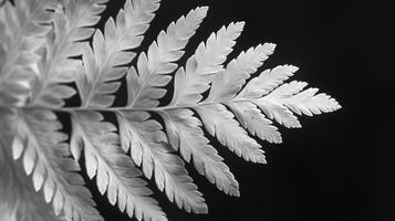 AI generated A detailed close-up of a fern's delicate fronds, unfurling gracefully and showcasing their intricate patterns photo