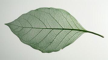 ai generado el translucidez de un hoja venas, un red de alma grabado en verde foto