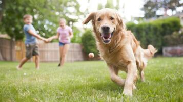 AI generated Family Playtime with Golden Retriever photo