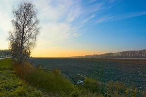 Spring arable land, plowed field prepared for planting cereals and vegetables photo