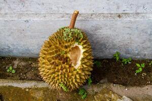 local indonesio Durian es delicioso y contiene varios vitaminas y minerales, Proporcionar un encantador gusto experiencia. foto