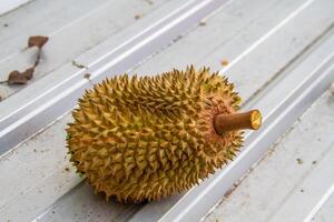 local indonesio Durian es delicioso y contiene varios vitaminas y minerales, Proporcionar un encantador gusto experiencia. foto