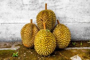 local indonesio Durian es delicioso y contiene varios vitaminas y minerales, Proporcionar un encantador gusto experiencia. foto