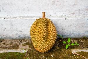 local indonesio Durian es delicioso y contiene varios vitaminas y minerales, Proporcionar un encantador gusto experiencia. foto