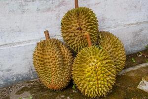 local indonesio Durian es delicioso y contiene varios vitaminas y minerales, Proporcionar un encantador gusto experiencia. foto