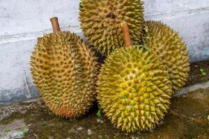 Local Indonesian durian is delicious and contains various vitamins and minerals, providing a delightful taste experience. photo