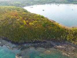 un aéreo ver de un pequeño isla rodeado por arboles foto