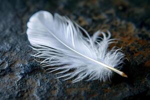 AI generated a white feather is laying on a rock photo