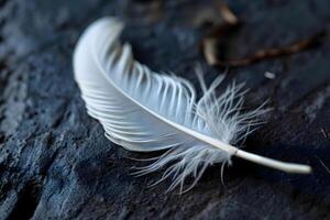 AI generated a white feather is laying on the ground photo