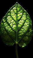 AI generated a close up of a green leaf on a black background photo