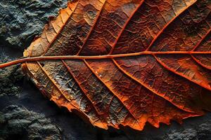 AI generated a close up of a leaf on a rock photo