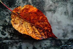 AI generated a leaf is laying on a stone surface photo