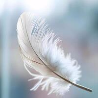 AI generated a close up of a white feather on a blurry background photo