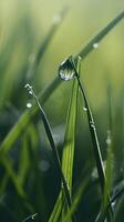 AI generated a drop of water sitting on top of a blade of grass photo