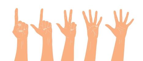 conjunto de mano dibujado manos contando números. contando dedos. vector ilustración