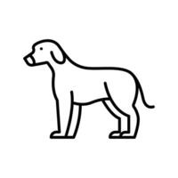 Dog icon. outline icon vector