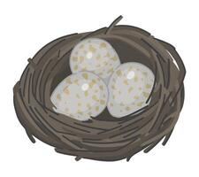 Wild bird nest with eggs clipart. Spring time doodle. Vector illustration in cartoon style isolated on white.