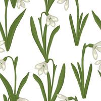 Spring time flowers seamless pattern. Ornament of snowdrops. Cartoon vector design.