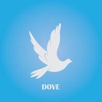 Dove bird logo design vector