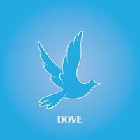 Dove bird logo design vector