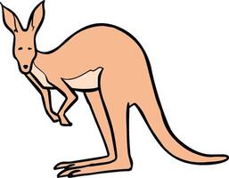 Hand drawn standing kangaroo color vector illustration