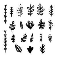 Set of abstract hand drawn scribble doodles leaves, grass vector