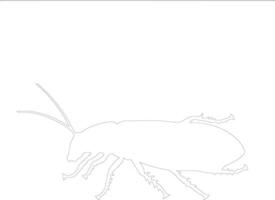 roach   outline silhouette vector