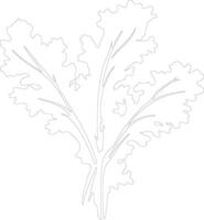 mustard greens  outline silhouette vector