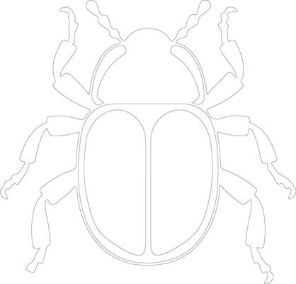 dung beetle   outline silhouette