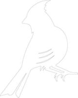 cardenal contorno silueta vector