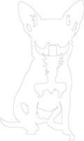 Chihuahua outline silhouette vector