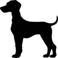 Bedlington Terrier    black silhouette vector