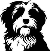 Havanese    black silhouette vector