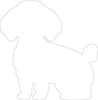 Bichon Frise outline silhouette vector