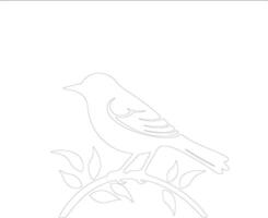 bird  outline silhouette vector