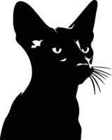 Peterbald Cat  silhouette portrait vector