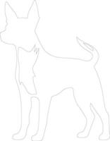 Basenji  outline silhouette vector