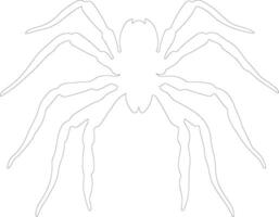 tarántula contorno silueta vector