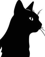 Seychellois Cat  silhouette portrait vector